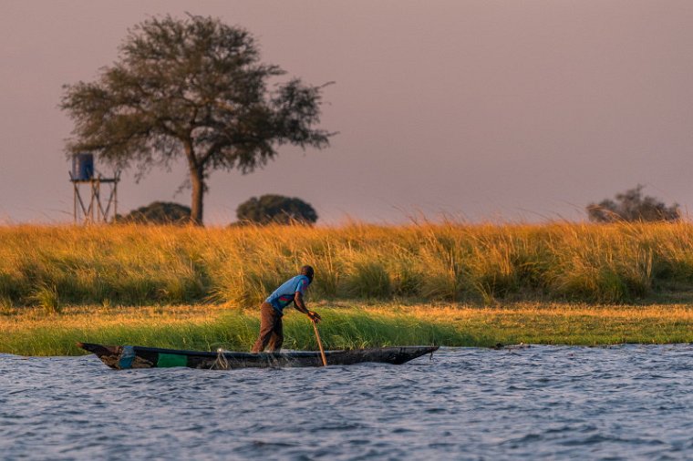 045 Botswana, Chobe NP.jpg